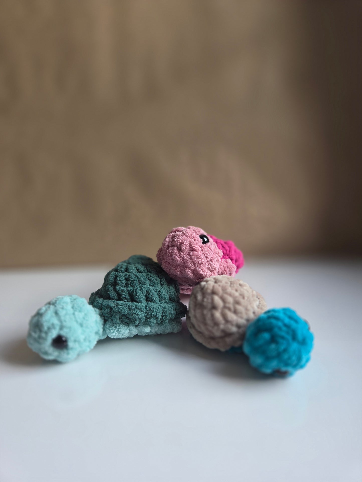 Mini Turtles