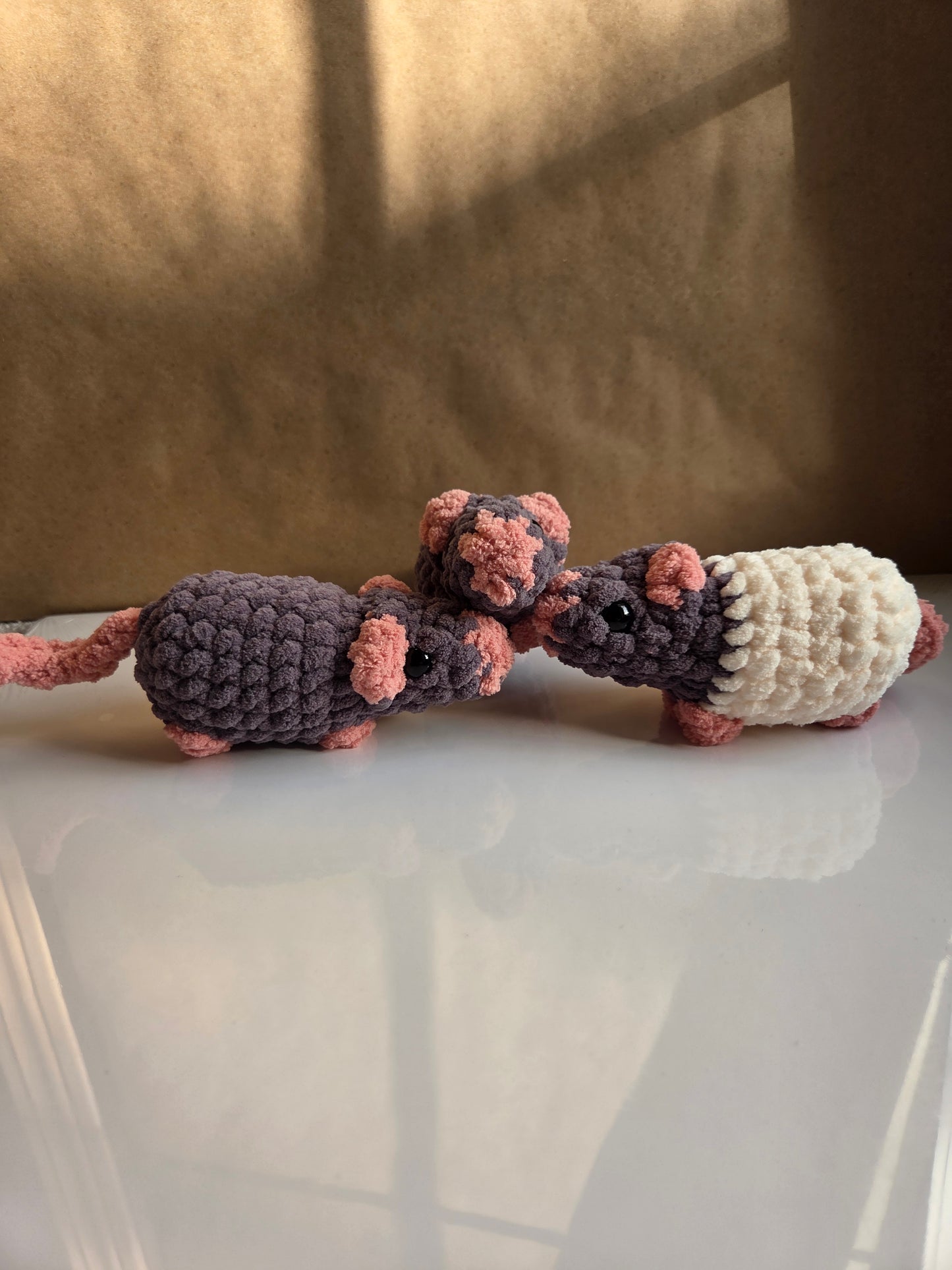 Rats